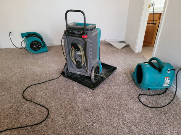 Best Commercial water damage restoration  in Talent, OR