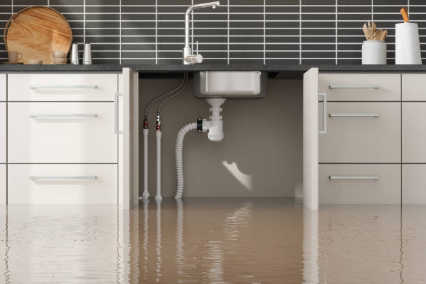 Best Basement water damage restoration  in Talent, OR