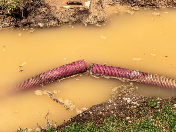 Best Flood restoration services  in Talent, OR