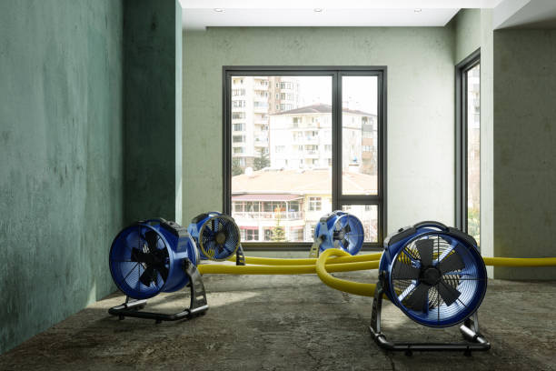 Best Fire Damage Restoration  in Talent, OR